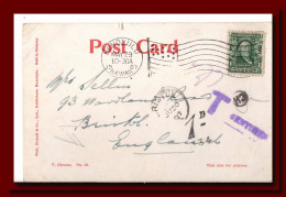 1907 USA United States Postcard Honolulu Hawaii Palm Avenue Posted To England And Taxed 2scans - Postal History