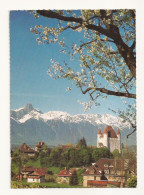 SH1 - Postcard - Switzerland - Blick Aud Stockhorn , Uncirculated - Horn