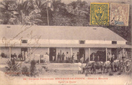 FRANCE - NOUVELLE CALEDONIE - Colonies Françaises - Dans La Brousse Chez Un Colon - Carte Postale Ancienne - Nouvelle Calédonie