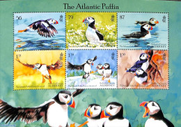 Alderney 2023 Atlantic Puffin S/s, Mint NH, Nature - Birds - Puffins - Alderney