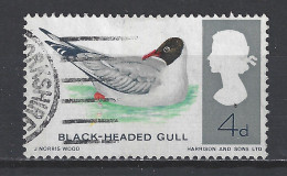 Engeland United Kingdom Great Britain Angleterre Used ; Meeuw Gull Mouette Gaviota Mowe Kokmeeuw Vogel Bird Oiseau - Mouettes