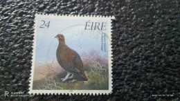 IRLANDA--2000-10     24P         USED - Used Stamps
