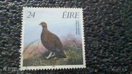 IRLANDA--2000-10     24P         USED - Used Stamps