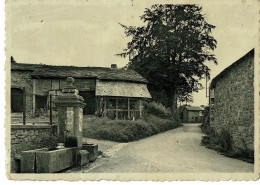 Trois-Ponts, Haute-Bodeux, Nels, Coin Rustique, Fontaine - Trois-Ponts