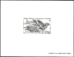 F.S.A.T.(1993) Skua. Deluxe Sheet. Scott No 187, Yvert No 176. - Imperforates, Proofs & Errors