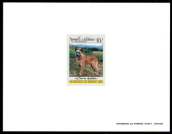 NEW CALEDONIA(1992) Australina Bouvier. Deluxe Sheet. Scott No C237, Yvert No PA288. - Sin Dentar, Pruebas De Impresión Y Variedades