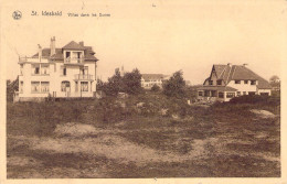 BELGIQUE - St IDESBALD - Villas Dans Les Dunes - Carte Postale Ancienne - Sonstige & Ohne Zuordnung