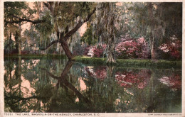 Charleston - The Lake, Magnolia On The Ashley - Charleston