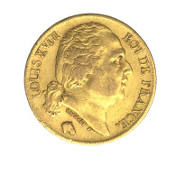 Louis XVIII-20 Francs 1824 Paris - 20 Francs (gold)