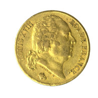 Louis XVIII-20 Francs 1819 Paris - 20 Francs (goud)