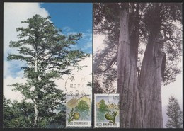 Taiwan R.O,China- Maximum Card – Taiwan Forest Resources (5V) 1992 - Tarjetas – Máxima