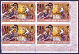 Senegal 1978 MNH Rt Lo Blk, Pink-backed Pelican, Water Birds, Saloum National Park - Pellicani