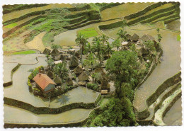 CPSM   PHILIPPINES    1985   TYPICAL IFUGAO SETTLEMENT IN THE MIDDL OF THE RICE TERRACES HIGLANDS OF NORTHERN LUZON - Philippines