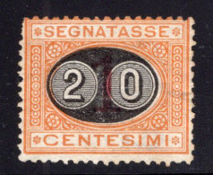 Regno D'Italia - Segnatasse N. 18 (senza Gomma) - Impuestos