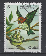 Cuba Used ; Kolibri Honeybird Colibri Vogel Bird Ave Oiseau - Segler & Kolibris