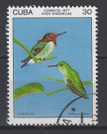 Cuba Used ; Kolibri Honeybird Colibri Vogel Bird Ave Oiseau - Segler & Kolibris