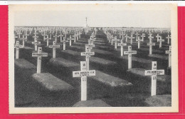 Cpa 14 Reviers-Beny Sur Mer, Le Cimetière Canadien, The Canadian Cemetery, Dos Vierge - Oorlogsbegraafplaatsen