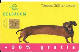 CARTE-PUCE-BELGIQUE-200 BEF/4,96€-CHIEN-BASSET-UTILISE-TBE - Chiens