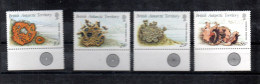 BAT (Antarctic) 1989 Set Shell/Meerestiere/Schnecken Stamps (Michel 152/55) MNH - Ongebruikt