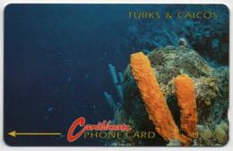 Turks & Caicos - Yellow Tube Sponge - 1CTCB - Turks- En Caicoseilanden
