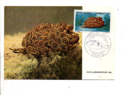 NOUVELLE CALEDONIE CARTE MAXIMUM 1964 AQUARIUM DE NOUMEA - Cartoline Maximum