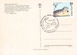 POLAND - PICTURE POSTCARD SPITSBERGEN 1982 / ZB151 - Lettres & Documents