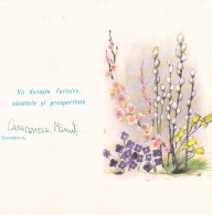 FLOWERS, BUDS, LUXURY TELEGRAM, TELEGRAPH, 1988, ROMANIA - Telégrafos