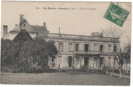 GRACAY  Villa De Coulon - Graçay
