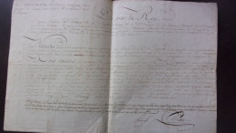 1765 HAITI LEOGANE BEQUINI / LIEUTENANT GENERAL DES ARMEES  COMTE ESTAING PORT AU PRINCE NOMINATION COLONEL PROVINCIAL D - Documents Historiques