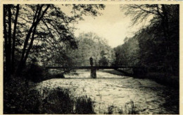 SAINTE-ODE-MAISON DE CURE-PARC - Sainte-Ode