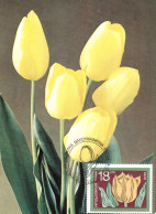 1987 - FLOWER - TULIP (TULIPA GESNERIANA) - Briefe U. Dokumente