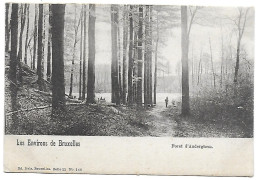 CPA Auderghem, Foret D'Auderghem - Auderghem - Oudergem