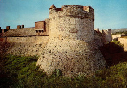 SALSES     ( PYRENEES ORIENTALES )     CHATEAU-FORT DE SALSES . TOUR EST - Salses