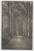 95 - Val D'Oise /  Carte Photo : Parc De MAFFLIERS. - Maffliers