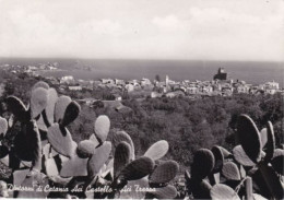 ACI TREZZA - DINTORNI DI ACI CASTELLO E ACIREALE - CATANIA - PANORAMA CON FICHI D'INDIA - Acireale