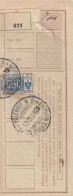 RICEVUTA PACCO POSTALE - 1916 - Postpaketten