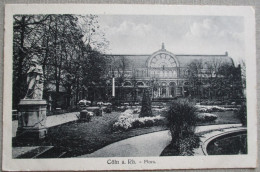 GERMANY DEUTSCHLAND KOLN COLN AM RHEIN WINTER GARDEN POSTKARTE POSTCARD ANSICHTSKARTE PHOTO CARTE POSTALE CARD PC CP AK - Langen