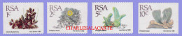 SOUTH AFRICA  1988  DEFINITIVES  CACTI  COIL STAMPS   U.M. - Nuevos