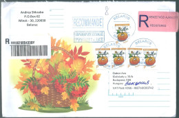 C4218 Belarus Flora Pumpkin Tree Leaf Registered+Priority - Vegetazione