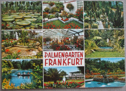 GERMANY DEUTSCHLAND FRANKFURT AM MAIN MULTI VIEW PALMENGARTEN POSTKARTE POSTCARD ANSICHTSKARTE CARTE POSTALE PC CP AK - Langen