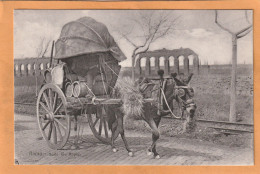 Rome Types Transport Wine Italy Old  Postcard - Transportes