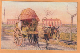 Rome Types Transport Wine Italy Old  Postcard - Transportes