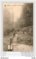 DURBUY ..-- Les Escaliers Du Thier De Béguines . 1909 Vers BERCHEM ( Mr Jos ODDERY ) . Voir Verso . - Durbuy