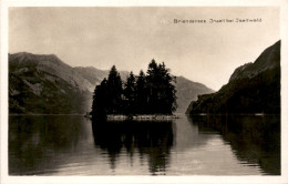 Brienzersee - Inseli Bei Iseltwald (182) - Iseltwald