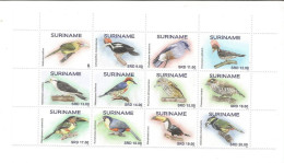 Suriname 2021 - Birds - Surinam