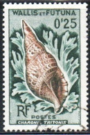 WALLIS AND FUTUNA ISLANDS 1962 1963 SEA SHELLS TRITON 25c USED USATO OBLITERE' - Gebruikt