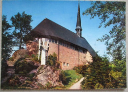 GERMANY DEUTSCHLAND BAVARIA FOREST BAYERISCHER SCHWARZWALD BLULERHOHE POSTKARTE POSTCARD ANSICHTSKARTE CARD PC AK CP - Hanau