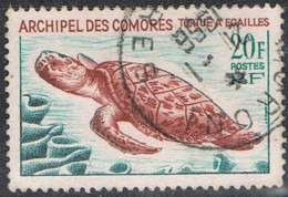 COMORES - Tortue Imbriquée (Eretmochelys Imbricata) - Oblitérés