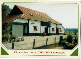 Opoeteren  - Maaseik