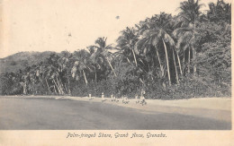 CPA ANTILLES GRENADA ILES GRENADES PALM FRINGED SHORE GRAND ANCE GRENADA - Grenada